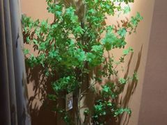 -泰·菩提树下[泰式按摩x精油SPAx肩颈头疗](新景店)