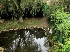 -西霞口神雕山野生动物世界