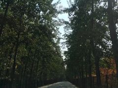-北京美神宫艺术主题温泉酒店