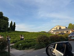 -径山花海