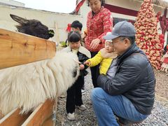 -HERRE·FARM 赫尔露营农场·团建聚会包场