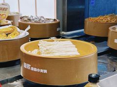 -龍歌自助小火锅(李沧丽达店)
