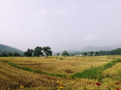 -塔川景区