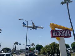 -In-N-Out Burger(LAX)