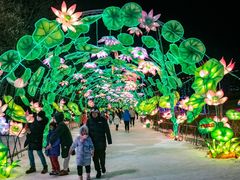 -沈阳奥体冰雪嘉年华