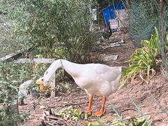 -春晖园度假酒店温泉