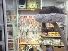 -爱洗澡的猫(天河路店)