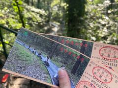 -东湖磨山景区
