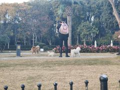 -高子水居