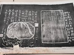 -青岛市博物馆