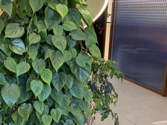 -七欣天香辣蟹火锅(南京桥北太平店)