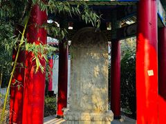 -西安大兴汤院遗址公园