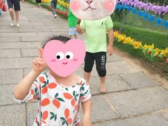 -瑶湖郊野森林公园