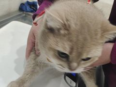 -暖阳宠物医院·犬猫康复中心·骨科