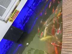 -弘医堂医院-中医科