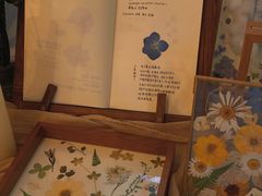 -知物癖(牛王庙店)