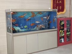-上海同泽护理院·医疗康复中心