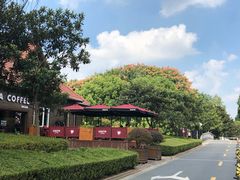 -浦鸿会游泳健身中心·Ambassy Club PD(金桥碧云国际社区店)