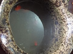 -九华山友谊土菜馆 小资餐厅