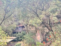 -巴倒烫陆派火锅山庄(南山总店)