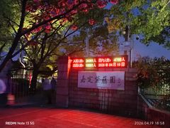 -嘉定紫藤园