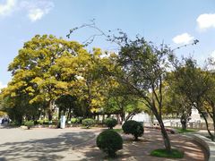 -云南师范大学(一二一西南联大校区)