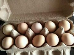 -顺德小院私房菜馆