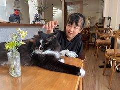 -有猫主题·治愈系猫咖(曾厝垵店)