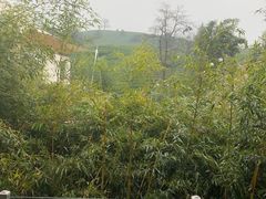 -帐篷客·溪龙茶谷度假酒店