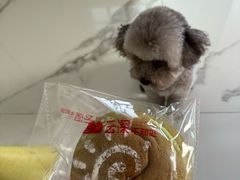 -云深不知处(九龙湾店)