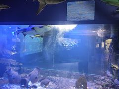 -嘉兴海底世界