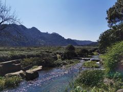 -中国茶叶博物馆(双峰馆区)