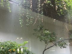 -花迹(富春江东街店)