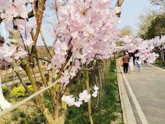 -武汉紫薇都市田园