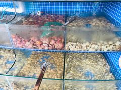 水产区-蟹谢蒸鲜自助餐厅