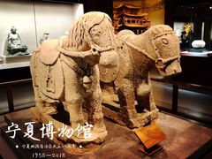 -宁夏博物馆