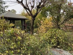-楼观道温泉酒店