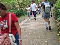 -宋宴(虎跑店)