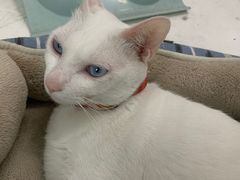 -Doors独立剧情密室(东门分店)