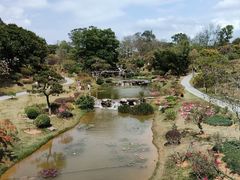 -东莞植物园
