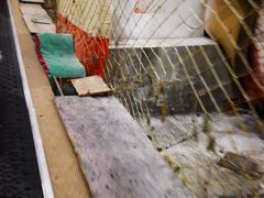 -乔波室内滑雪场