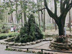 -林间山庄