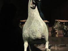 -甘肃省博物馆