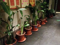 -大鸭梨烤鸭(顺义石园店)