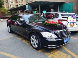 -蚂蚁婚车