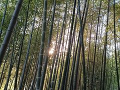 -石塘人家