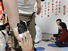 -上海大自然野生昆虫馆(东方明珠·爬宠昆虫探索中心)