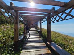 -白草畔自然风景区