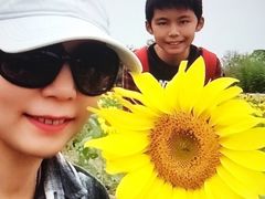 -武汉紫薇都市田园