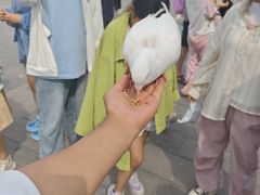 -天津妈祖文化园